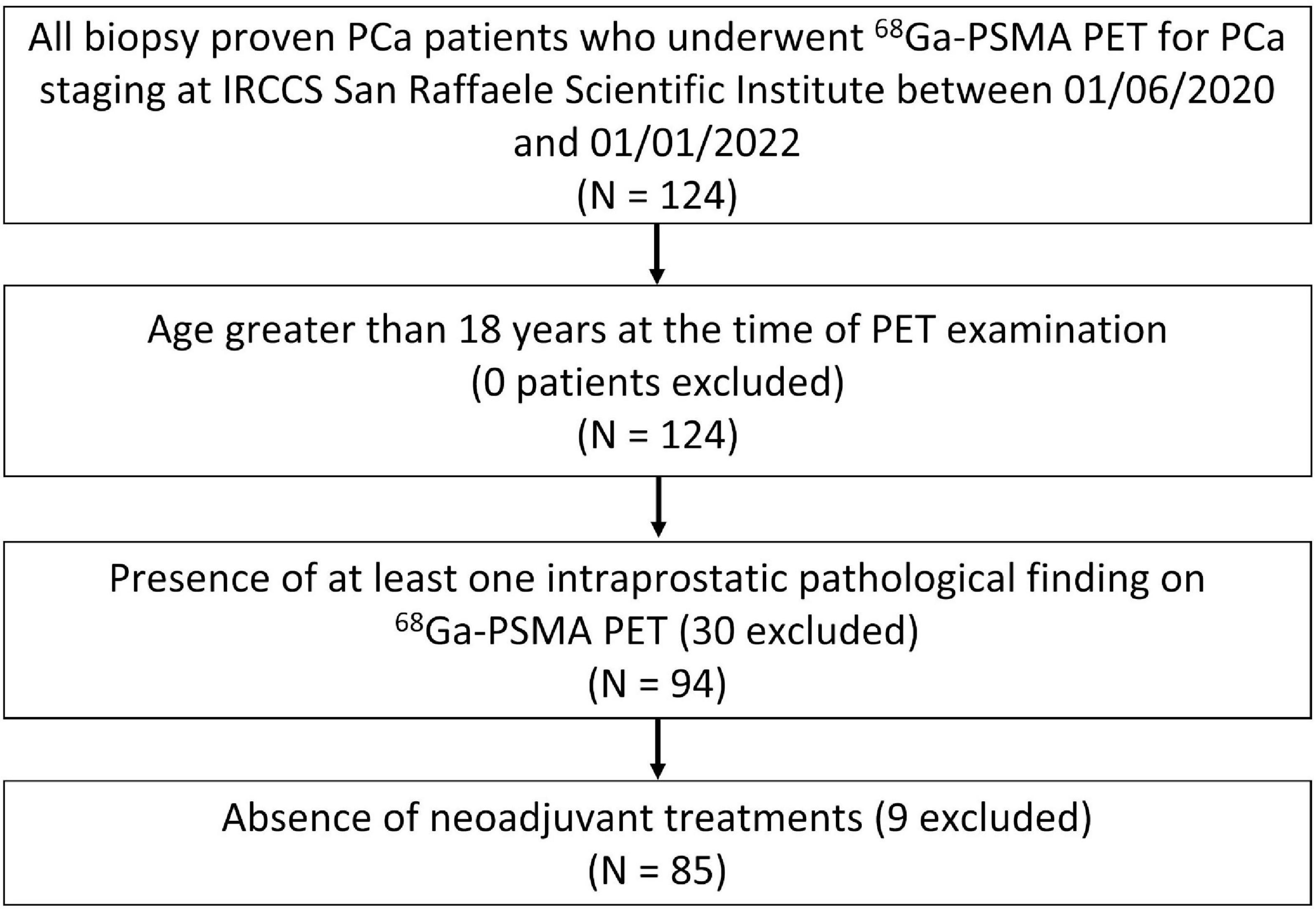 External validation of a convolutional neural network for the automatic segmentation of intraprostatic tumor lesions on 68Ga-PSMA PET images